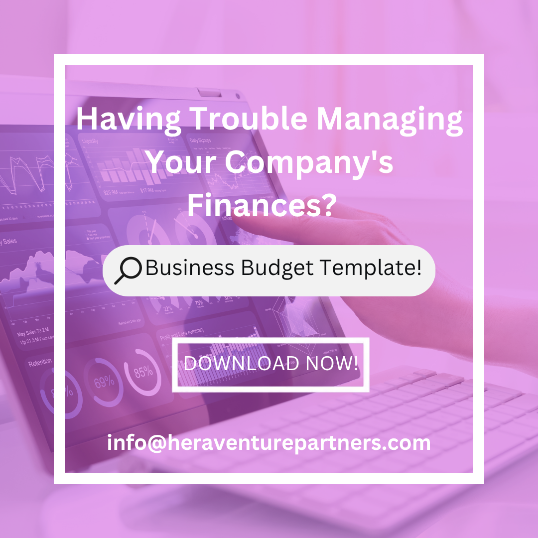 Business Budget Template, Accounting Small Business, Financial Downloadable, Fiscal Organization, Excel Spreadsheet, Editable, Custom Budget